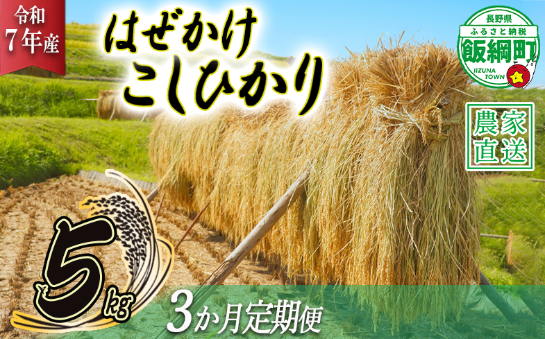 米 はぜかけ こしひかり 5kg × 3回 【 3か月 定期便 】( 令和7年産 ) 増田ファーム 沖縄県への配送不可 2025年11月上旬頃から順次発送予定 飯綱町 [0815]