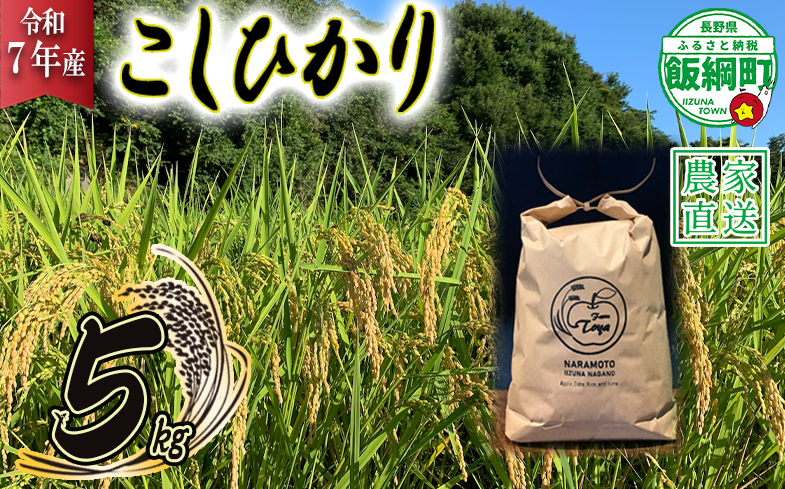 米 こしひかり 5kg ( 令和7年産 ) ファームトヤ 沖縄県への配送不可 2025年10月上旬頃から順次発送予定 コシヒカリ 白米 精米 お米 信州 17500円 予約 農家直送 長野県 飯綱町 [1137]