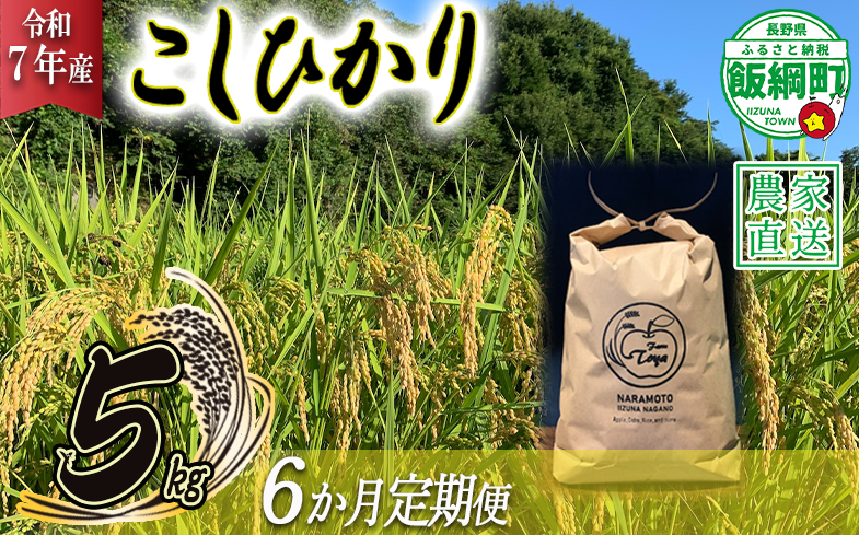 米 こしひかり 5kg × 6回 【 6か月 定期便 】( 令和7年産 ) ファームトヤ 沖縄県への配送不可 2025年10月上旬頃から順次発送予定 コシヒカリ 白米 精米 お米 信州 105000円 予約 農家直送 長野県 飯綱町 [1138]