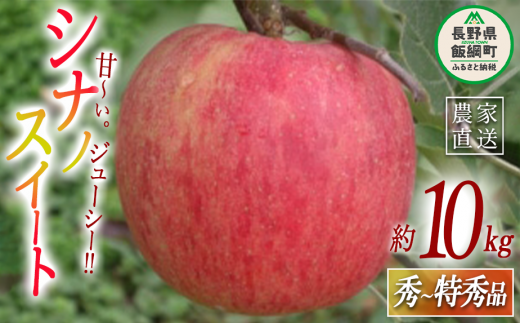 りんご シナノスイート  秀～特秀 10kg 丸茂ファーム 2024年10月中旬頃から2024年11月下旬頃まで順次発送予定 エコファーマー認定 令和6年度収穫分 長野県 飯綱町 [1196]
