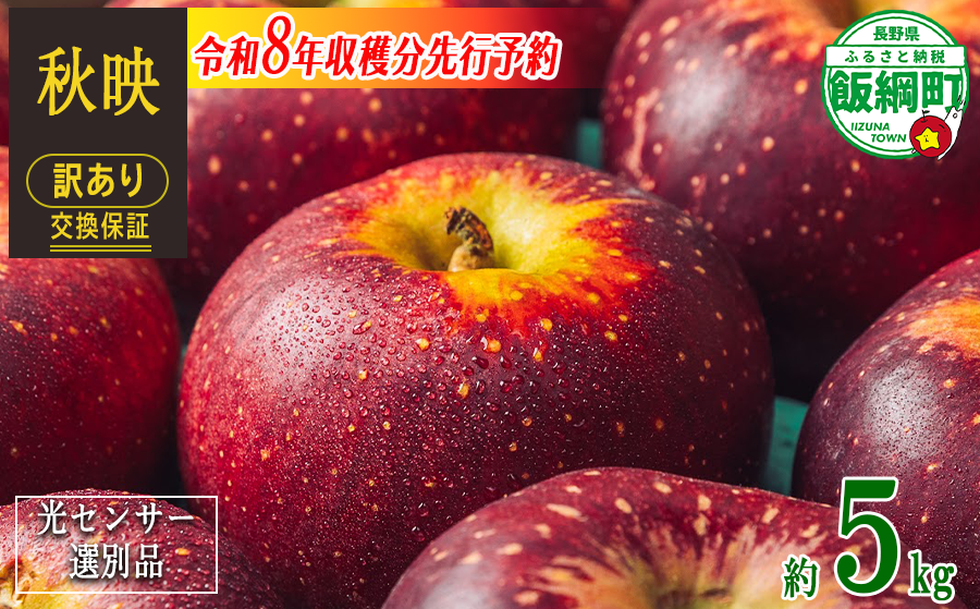 【 感謝りんご / 光センサー選別品 】 りんご 秋映 訳あり 5kg （ 12玉 〜 25玉 ） 交換保証 ながの農業協同組合 2026年10月上旬頃から2026年10月下旬頃まで順次発送予定 令和8年度収穫分 傷 不揃い リンゴ 林檎 果物 フルーツ 信州 長野 12000円 予約 長野県 飯綱町 [1202]