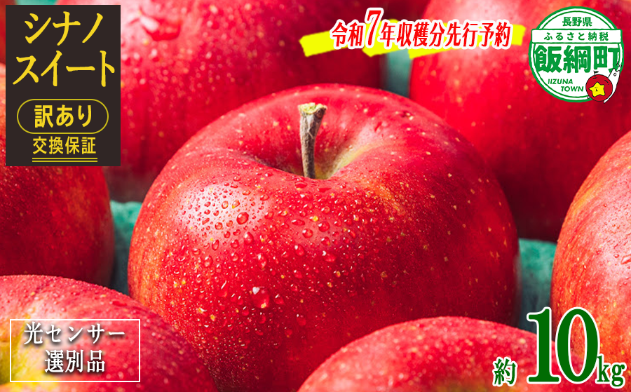 りんご 10Kg 訳あり 【令和７年度先行予約】 果物 シナノスイート 交換保証 感謝りんご 規格外 傷あり ※2025年10月～11月発送 長野県 飯綱町 [1206]