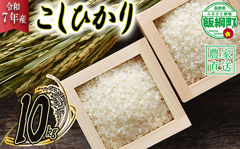 米 こしひかり 10kg ( 令和7年産 ) 2025年10月上旬頃から順次発送予定 米澤商店 コシヒカリ 白米 精米 長野県 飯綱町 [1244]