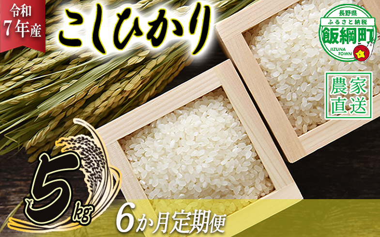 米 こしひかり 5kg × 6回 【 6か月 定期便 】( 令和7年産 ) 沖縄県への配送不可 2025年10月上旬頃から順次発送予定 米澤商店 コシヒカリ 白米 精米 長野県 飯綱町 [1350]