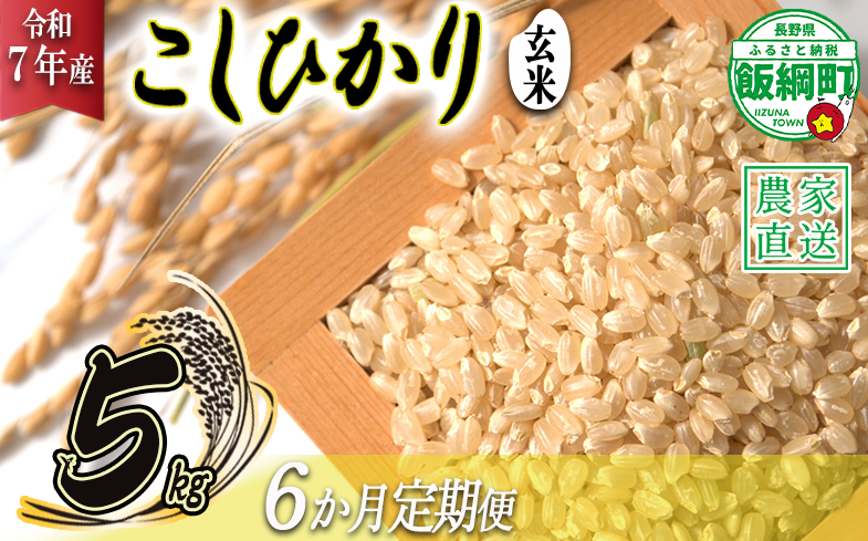 米 こしひかり ( 玄米 ) 5kg × 6回 【 6か月 定期便 】( 令和7年産 ) 沖縄県への配送不可 2025年10月上旬頃から順次発送予定 米澤商店 コシヒカリ 玄米 長野県 飯綱町 [1354]