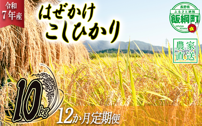 米 こしひかり 10kg × 12回 【 12か月 定期便 】( 令和7年産 ) 黒柳さんのお米 はぜかけ 2025年11月上旬頃から順次発送予定 コシヒカリ 白米 精米 お米 信州 300000円 予約 農家直送 長野県 飯綱町 [1596]