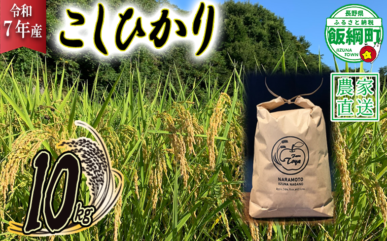 米 こしひかり 10kg ( 令和7年産 ) ファームトヤ 2025年10月上旬頃から順次発送予定 コシヒカリ 白米 精米 お米 信州 32000円 予約 農家直送 長野県 飯綱町 [1610]