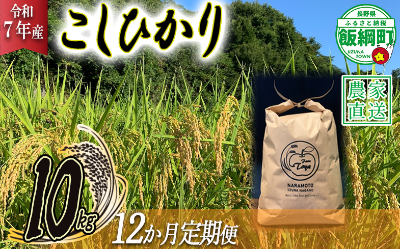 米 こしひかり 10kg × 12回 【 12か月 定期便 】( 令和7年産 ) ファームトヤ 2025年10月上旬頃から順次発送予定 コシヒカリ 白米 精米 お米 信州 384000円 予約 農家直送 長野県 飯綱町 [1612]
