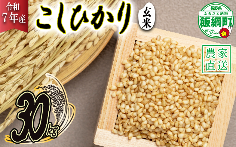 米 こしひかり ( 玄米 ) 30kg ( 令和7年産 ) ヤマハチ農園 2025年11月上旬頃から順次発送予定 コシヒカリ 玄米 お米 信州 54500円 予約 農家直送 長野県 飯綱町 [1619]