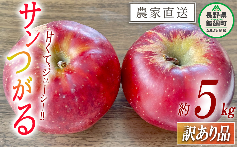 りんご サンつがる 訳あり 5kg 令和7年度収穫分 沖縄県への配送不可 2025年9月上旬頃から2025年9月下旬頃まで順次発送予定 宮本ファーム エコファーマー 減農薬栽培 長野県 飯綱町 [1789]