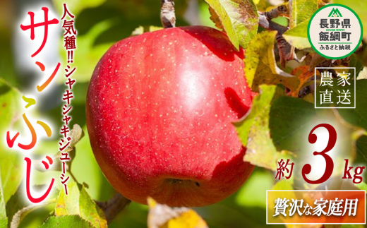 りんご サンふじ ちょっぴり贅沢な 家庭用 3kg 松澤農園 沖縄県への配送不可 2025年11月下旬頃から2026年2月下旬頃まで順次発送予定 令和7年度収穫分 長野県 飯綱町 [1808]