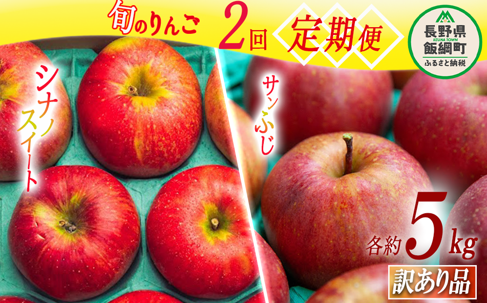 旬のりんご 【 定期便 】 訳あり 5kg × 2回 原山農園 沖縄県への配送不可 2025年10月中旬頃から2025年12月下旬頃まで順次発送予定 令和7年度収穫分 シナノスイート サンふじ 長野県 飯綱町 [1826]