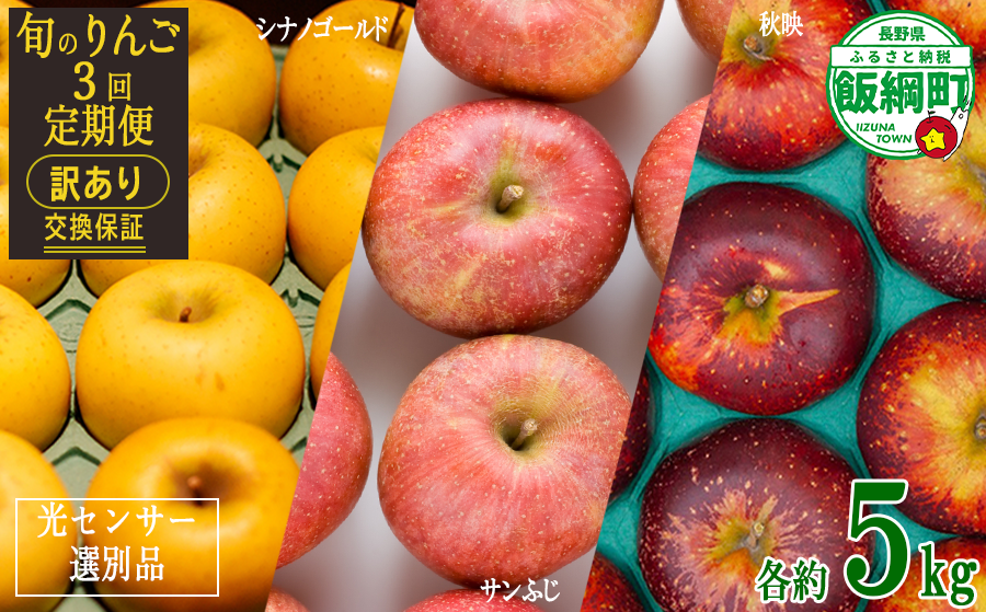 季節のりんご 【定期便】 旬の3品種 5kg × 3回 訳あり ながの農業協同組合 沖縄へは配送不可  2024年10月上旬から発送予定 長野県 飯綱町 [1885]