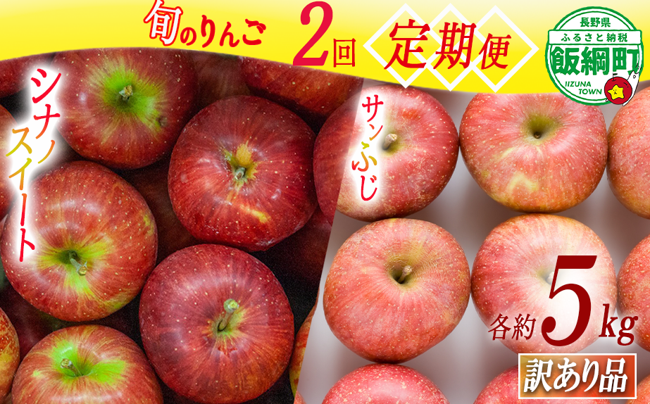 季節のりんご 【定期便】 旬の2品種 5kg × 2回 訳あり ながの農業協同組合 沖縄へは配送不可  2024年10月中旬から発送予定 長野県 飯綱町 [1886]
