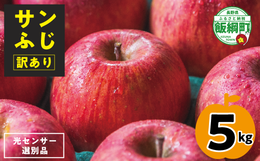 【12月11日締切】りんご サンふじ 5kg （12～25玉） 訳あり 「 いいづな光選りんご 」 光センサー選果 2024年 令和6年 収穫分  R6年12月～R7年1月発送 長野県 飯綱町 いいづな 光選 りんご《沖縄県への配送不可》 [1903]