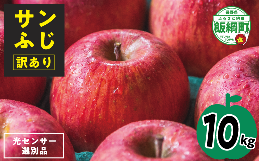【12月11日締切】りんご サンふじ 10kg （ 24～50玉 ） 訳あり 「 いいづな光選りんご 」 光センサー選果 2024年 令和6年 収穫分 R6年12月～R7年1月発送 長野県 飯綱町 いいづな 光選 りんご《沖縄県への配送不可》 [1904]