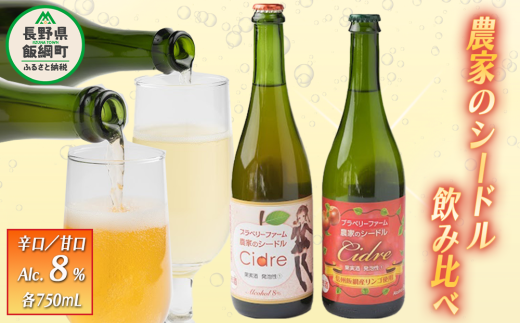 ブラベリーファーム　オリジナルシードル ＜飲みくらべセット＞ 750ｍL×2本　長野県 飯綱町 [1761]