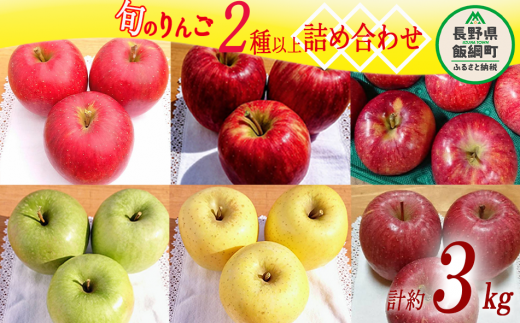 りんご 2品種以上保証 旬のおすすめ 3kg 詰め合わせ セット やまじゅうファーム 沖縄県への配送不可 2025年10月上旬頃から2025年12月下旬頃まで順次発送予定 令和7年度収穫分 信州の環境にやさしい農産物 減農薬栽培 長野県 飯綱町 [1799]