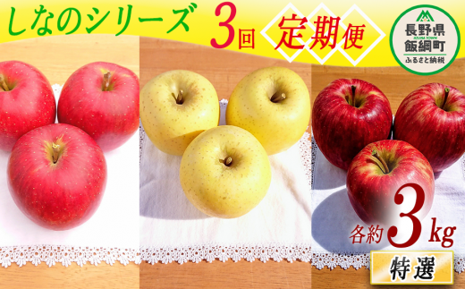 【 定期便 】シナノシリーズ 特選 3kg × 3回 やまじゅうファーム 沖縄県への配送不可 2025年9月下旬頃から2025年11月下旬頃まで順次発送予定 令和7年度収穫分 信州の環境にやさしい農産物 減農薬栽培 長野県 飯綱町 [1800]