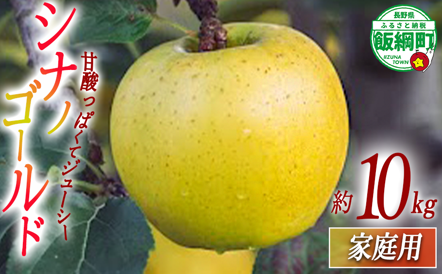 りんご シナノゴールド 家庭用 10kg 相澤農園 2025年11月上旬頃から2026年2月上旬頃まで順次発送予定 令和7年度収穫分 長野県 飯綱町 [1854]