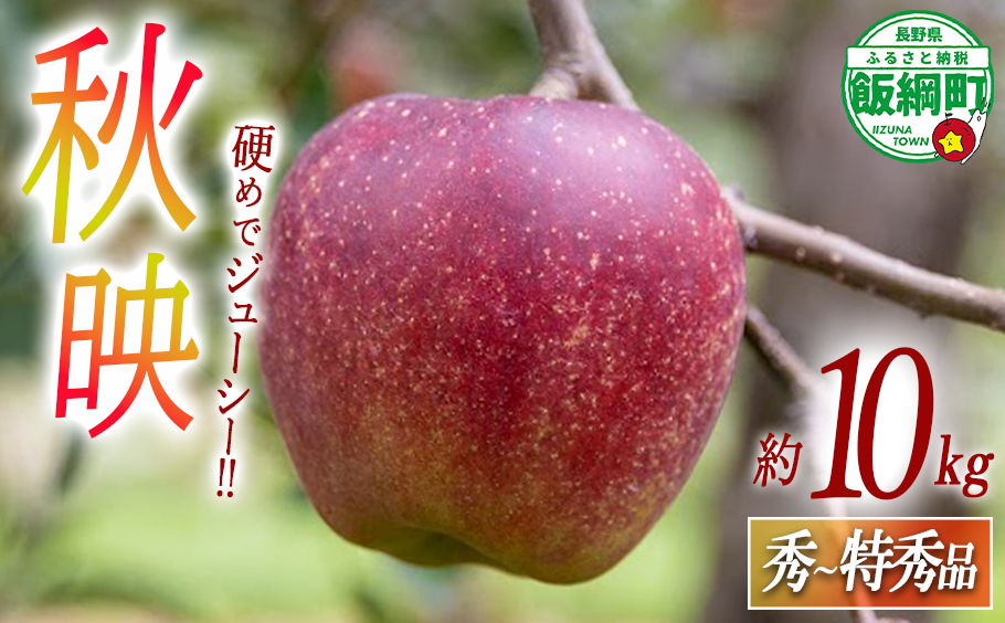 りんご 秋映 10kg 秀～特秀 永正の地蔵尊神谷農園 沖縄へは配送不可  2024年10月上旬から発送予定 長野県 飯綱町 [1862]