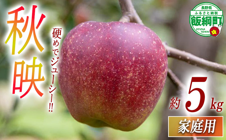りんご 秋映 5kg 家庭用 永正の地蔵尊神谷農園 沖縄へは配送不可  2024年10月上旬から発送予定 長野県 飯綱町 [1863]
