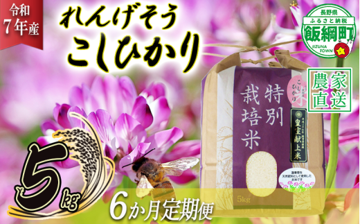 米 れんげそう こしひかり 5kg × 6回 【6ヶ月定期便】 ( 令和7年産 ) 特別栽培米 仲俣農園 2025年10月上旬頃から順次発送予定 コシヒカリ 白米 精米 お米 信州 159000円 予約 農家直送 長野県 飯綱町 [1626]