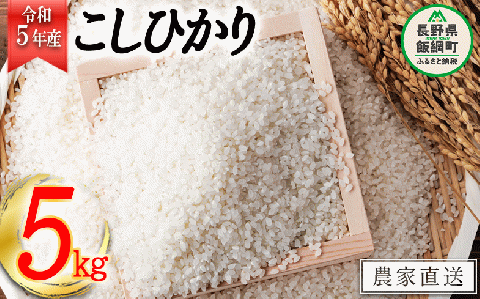 米 こしひかり 5kg ( 令和5年産 ) ヤマハチ農園 沖縄県への配送不可 2023年11月上旬頃から順次発送予定 長野県 飯綱町 [1615]