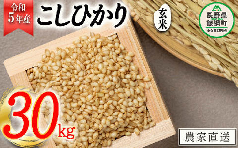 米 こしひかり ( 玄米 ) 30kg ( 令和5年産 ) ヤマハチ農園 2023年11月上旬頃から順次発送予定 長野県 飯綱町 [1619]