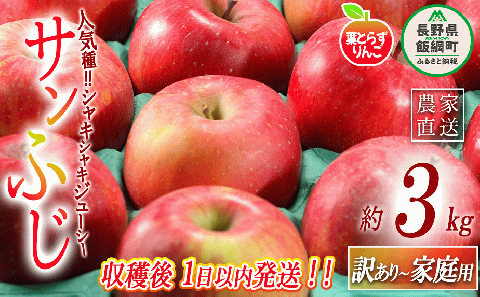 りんご 葉とらず サンふじ 訳あり 3kg 採れたてを発送 フレッシュフルーツミカズキ 沖縄県配送不可 2024年11月中旬〜11月下旬まで順次発送 令和6年収穫 長野県 飯綱町 [1673]