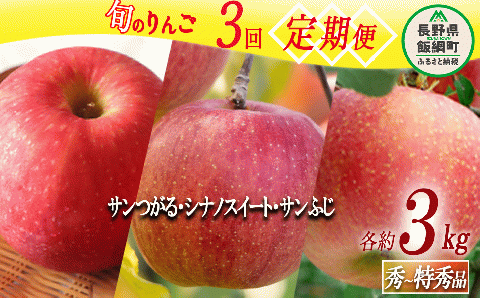 旬のりんご [ 定期便 ] 秀 〜 特秀 3kg × 3回 マルハ農園 沖縄県配送不可 2024年9月上旬頃〜2024年12月下旬頃まで順次発送 令和6年度収穫分 エコファーマー 飯綱町 [1641]