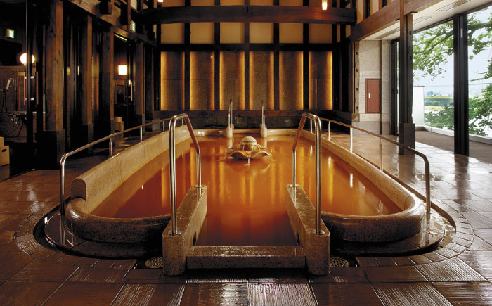 入浴剤 薬用 12袋 医薬部外品 美の薬泉 天然 美容 お風呂 バスタイム 岐阜市/岐阜長良川温泉旅館協同組合 [ANAF008]