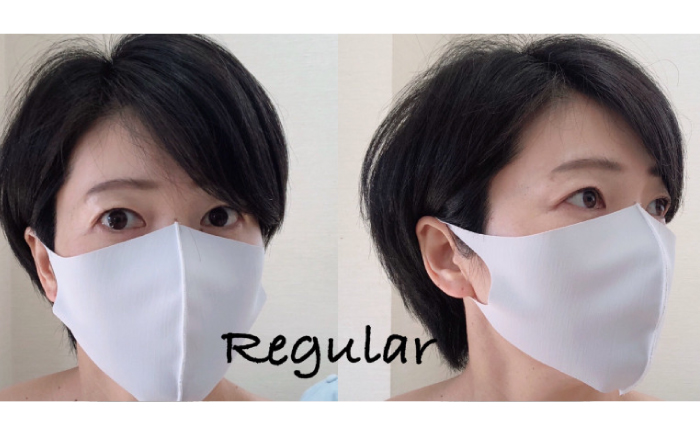 【日本製】エチケットマスク レギュラーサイズ 10枚(2枚×5セット) 対策 冷感 立体 岐阜市 / ビッグ宮田 [ANEA008]