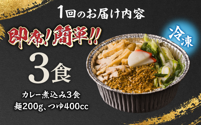 【6回定期便】岐阜の味 田毎のカレー煮込みうどんセット 即席 カンタン 麺　岐阜市 / ラボレムス [ANFP007]