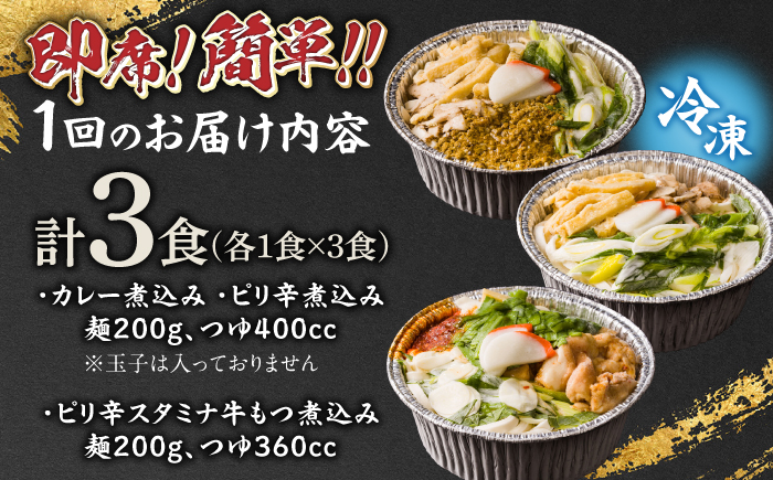 【6回定期便】岐阜の味 田毎の煮込みうどん辛辛麺セット 即席 カンタン 麺　岐阜市 / ラボレムス [ANFP013]