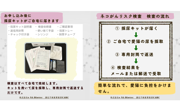 ネコ がんリスク検査【大切な家族のために】 ペット 検査キット 早期発見 岐阜市 / 株式会社e-NA Biotec [ANHE001]