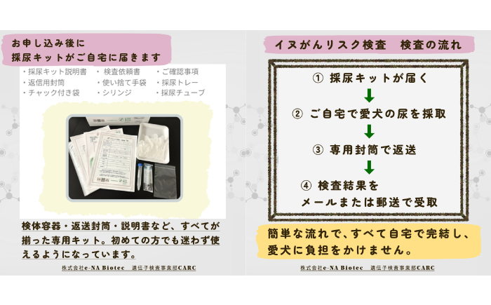 イヌ がんリスク検査【大切な家族のために】?ペット 検査キット 早期発見 岐阜市 / 株式会社e-NA Biotec [ANHE002]
