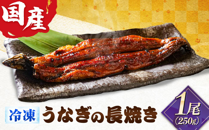 国産うなぎの長焼き 1尾 鰻 たれ 肉厚 岐阜市 / 本格炭焼うな吉 [ANHH001]