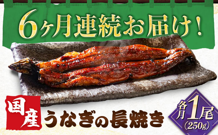 【全6回定期便】　国産うなぎの長焼き 鰻 たれ 肉厚 岐阜市 / 本格炭焼うな吉 [ANHH003]