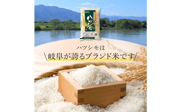 【R7年産】岐阜県産米 ハツシモ5kg　岐阜市 / イオンリテール [ANHS001]