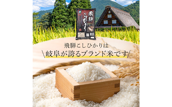 【R7年産】岐阜県産米 飛騨こしひかり5kg　岐阜市 / イオンリテール [ANHS002]