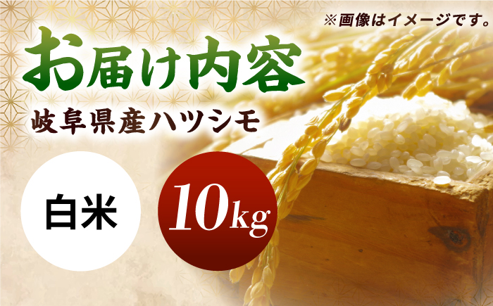 令和7年産 ハツシモ 白米 10kg 精米 米 ブランド米 岐阜市 / 川瀬ファーム [ANIB002]