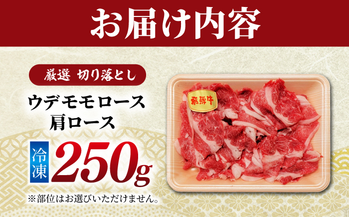 飛騨牛 厳選切り落とし250g（ウデ モモ ロース 肩ロース）（冷凍） 牛肉 肉 ブランド肉 岐阜市 / 羊Diningひとみしり [ANIF005]