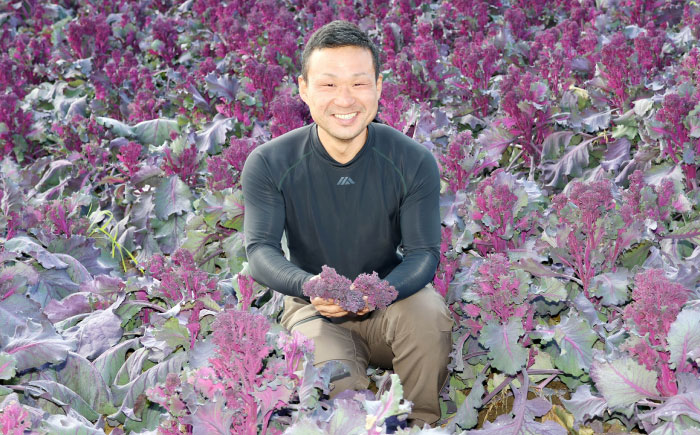 パープルリシャス 1kg ブロッコリー 野菜 サラダ 紫野菜 岐阜市 / 加藤農園 [ANIS001]