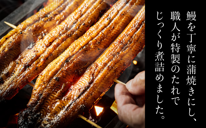 お茶漬け鰻 1本 岐阜市 / ひら井 [ANIZ007]