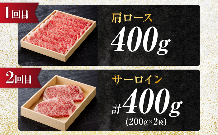 【5回定期便】飛騨牛 食べつくし 厳選セレクト定期便 サーロイン ロース モモ 切り落とし ステーキ すきやき しゃぶしゃぶ 国産 和牛 岐阜県 岐阜市/だるまミート [ANBE001]