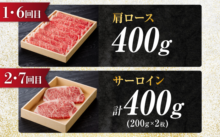 【10回定期便】飛騨牛 食べつくし 厳選セレクト定期便 サーロイン ロース モモ 切り落とし ステーキ すきやき しゃぶしゃぶ 国産 和牛 岐阜県 岐阜市/だるまミート [ANBE002]