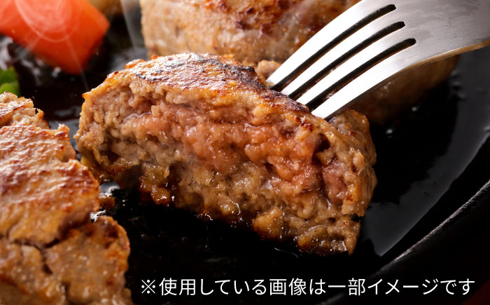 飛騨牛 100%生ハンバーグ 6個 牛肉 おかず お惣菜 岐阜市 / だるまミート [ANBE029]