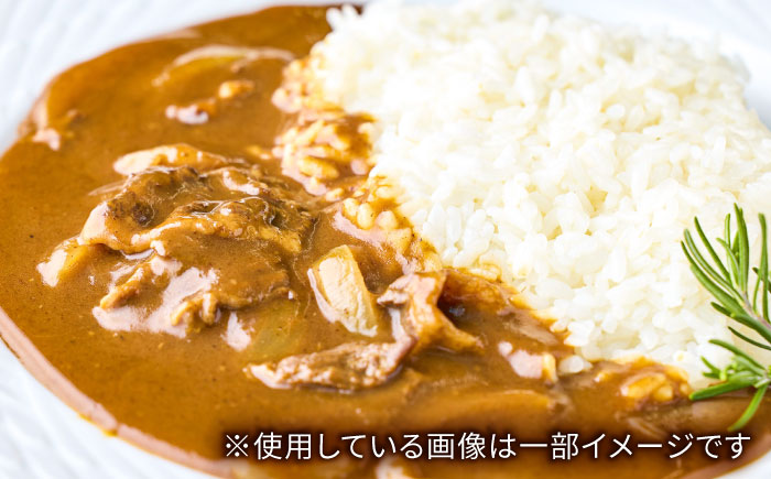 飛騨牛 ハッシュドビーフ 4個セット 簡単調理 レトルト ブランド牛 岐阜市 / だるまミート [ANBE034]