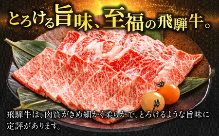 【飛騨牛】霜降りロース・カタロースすきしゃぶ(540g)  和牛 すき焼き しゃぶしゃぶ 岐阜市/丸福商店 [ANBO017]
